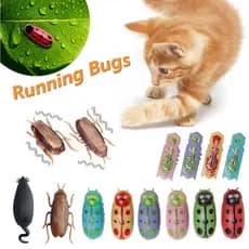 Funny Electric Bugs Cat Toy Mini Robô De Fuga Automático De Insetos Vibração Para Gatos Brinquedos De Barata Operados