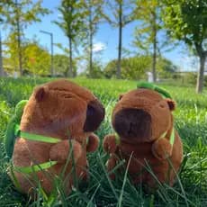 Premium Brinquedo Pelúcia Capivara Tartaruga Fofinha Kawaii Presente Fofinho Para Aniversários