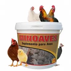 Aminoaves, Premix Para Ração Em Todas As Fases - Balde 5kg