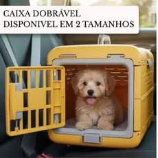 Caixa Transportadora Pet Plástico Viagem Passeio Gato Cães Cachorro Coelhos Gaiola Segurança Portátil Retrátil