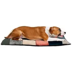 Cama para Cachorro Gato Pet Tam G 0,90x0,60 cm (Variadas)