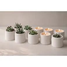 Atacado 50 vasinhos de gesso para suculentas e velas aromáticas lembrancinhas para festas e casamentos e aniversários