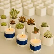 100 vasinhos de gesso para suculentas e velas aromáticas lembrancinhas casamento festas atacado