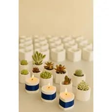 - Oferta 50 Vasinhos de Gesso para Lembrancinhas de Casamento, Aniversário, eventos, suculentas