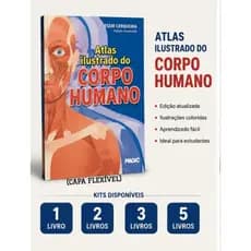 Atlas Ilustrado Corpo Humano Livro Educativo Infantil Escolar