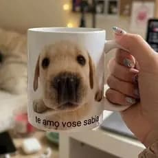 Caneca meme cachorro figurinha recado importante