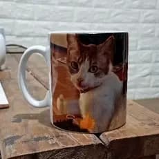 Caneca gato meme joinha beleza aprovado