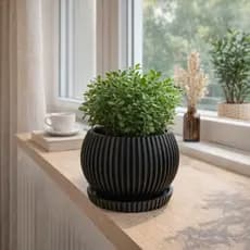Vaso cachepô | Vaso suculenta | Vaso decorativo Grande