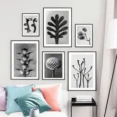 Quadro Posters botânicos do vintage preto branco fotográfico arte imprime nordic quadros de parede moderna sala estar decoração da sua casa