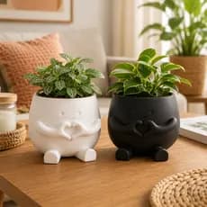 Vasinho Decorativo para Suculenta e Cacto | Vaso com Carinha Fofo | Enfeite de Mesa