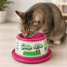 Comedouro Elevado para Gatos Anti Formiga Postura Correta