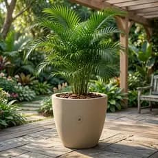 Vaso Grande Decorativo Polietileno Resistente Jardim e Área Externa 50cm Jabuticabeira