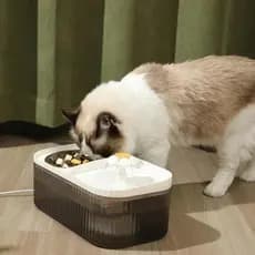 Fonte Bebedouro e Comedouro Para Gatos E Cães Automático Little 3 Litro