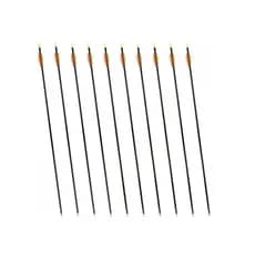 Conjunto De Flechas Para Arco - 10 Pçs - Nautika
