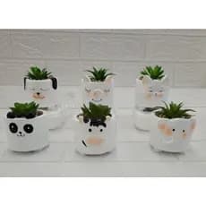 Vaso Arranjo formato Bichinho Fofo Decoração com Planta Suculenta ideal para Banheiro