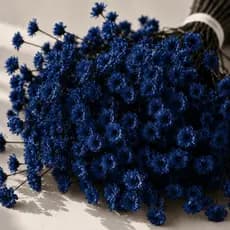 Buquês Flores Sempre Vivas Coloridas Para Decoração Residencial 150 Azul Escuro