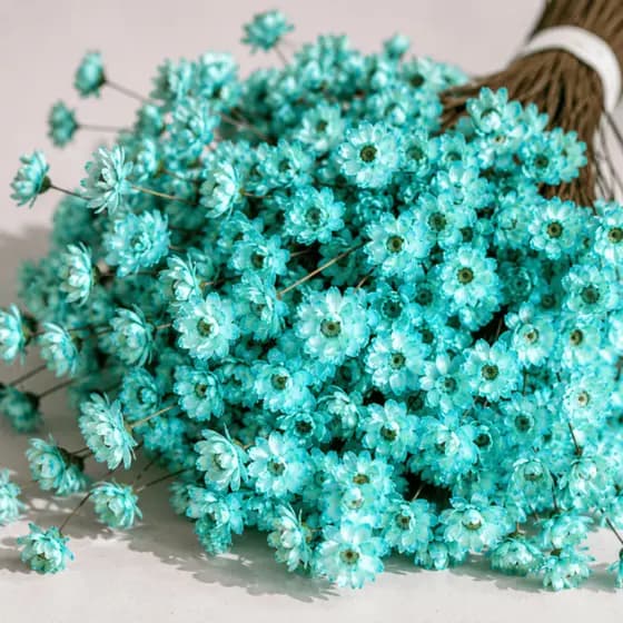 Flores Sempre Vivas Naturais Decorativas Para Arranjos Kit Floral Tifany 150 flores
