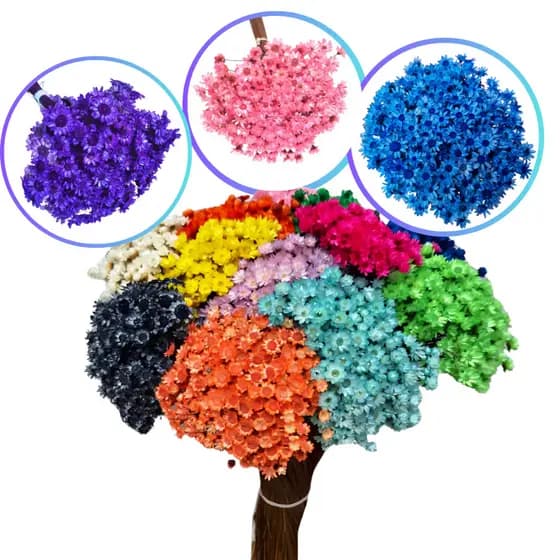 Kit Buquê Flores Decorativas Sempre Vivas Naturais Para Ambientes e Vasos