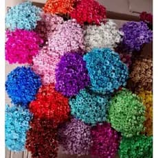 Flor sempre viva Premium, Kit com até flores sempre vivas Várias cores Colorido Arranjo de Decoração