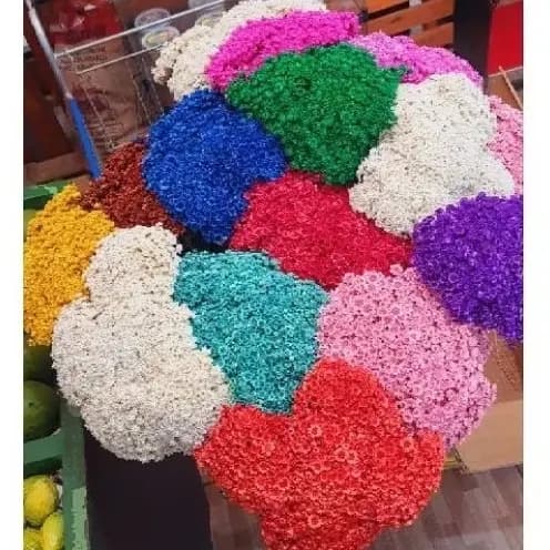 Flores Sempre Viva : Kit  Flores Coloridas é Unidades atacado Buquê para Decoração Festa e/ou Branca