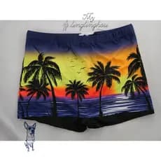 1-2-3 sunga box masculino adulto com estampa de coqueiro ,moda verão,com cordão,casual,natação//4004