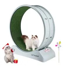 Roda Para Gato Academia Pet Esteira De Exercício Indoor Apartamento Silenciosa Queima Energia Com Varinha de brinde