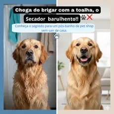 Secador e Alisador Pet 2 em 1 Portátil 110V  Seca e Alinha Pelos com Praticidade
