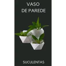 Vasos de Suculentas e Cactos de Parede - Decoração Moderna e Minimalista para Seu Ambiente