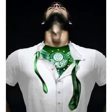 Camiseta Poliéster Time Palmeiras Camisa do Verdão / Blusa Vai Porco / Time de Futebol Segunda Pele
