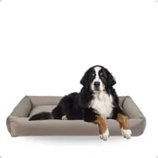 Cama Para Pet Porte Grande Gigante Fundo Impermeável