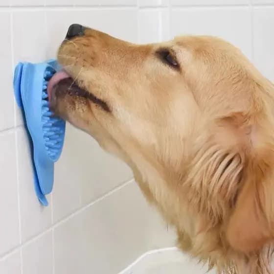 Tigela Comedouro Lento Interativo Dieta Anti Stress Cão Gato Cachorro Pet。Ventosa de silicone para disco