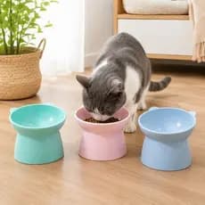 Comedouro Elevado Gato Pet Alimentacao Pratica Segura Design Moderno 13cm Sortido