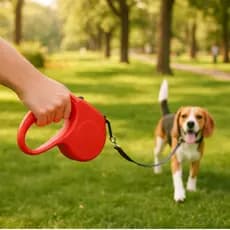 Guia De Passeio Retrátil 5 metros para Pet Cachorro com Botão De Controle Para Regulagem Segurança