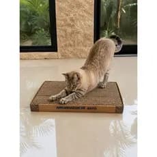 Arranhador De Gato Papelão Brinquedo Antiestresse Pet