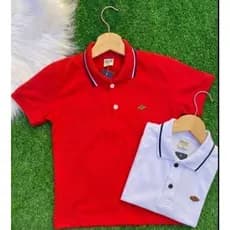 Kit 2 Camiseta Gola Polo de Menino 100% Algodão Colorida Infanto Juvenil Criança e Unidade Camisa