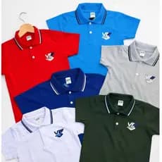 kit Camiseta Polo Masculina Infantil Juvenil 100% Algodão Premium Tamanho 1 ao 14 Anos Menino