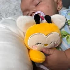 Naninha bebê bichinho com prendedor de chupeta
