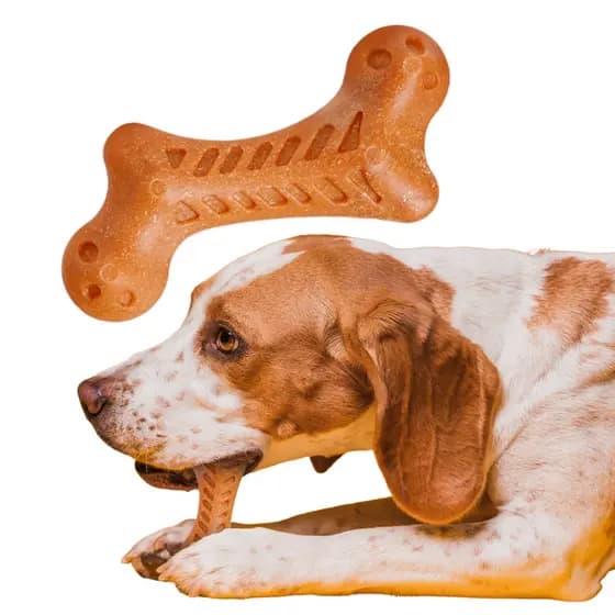 Osso Mordedor Brinquedo Cães Pets Massageador Anti-Stress Resistente Filhote Cachorro Interativo Dentição