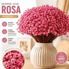 Flores Sempre Viva Flores Secas Naturais Atacado Decoração Casamento Festa