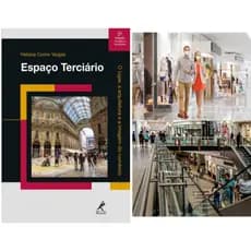 Espaço terciário: o lugar, a arquitetura e a imagem da manifestação espacial das areas atividades de comércio e serviços