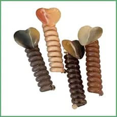 Suportes De Rabo De Cavalo Sem Danos Fio Elástico Conjunto Cabo De Telefone Bobinas De Cabelo Para Treino Diário Cheerle