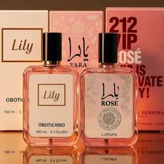 Kit Com até 3 Perfumes Femininos 100ml (CONTENDO VARIAÇÕES COM 1 E 2 UNIDADES)