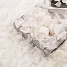 1000-4000 Pétalas De Rosas Artificiais Vermelha Ou Branco Casamento Festas Dias Dos Namorados