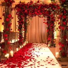 Petalas De Rosas Artificiais Vermelhas Decoração Casamento Festas 1000 a 4000 Unidades Casamento Noivas Decoração