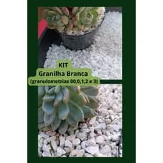 Kit Granilha Branca N00 N0 N1 N2 N3 Cascalho Pedra Natural Decorativa Jardim Vaso Aquário / 5 unidades de 500Gr
