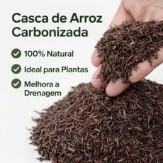 Casca De Arroz Carbonizada Substrato Para Plantas Horta Jardim