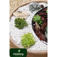 Pedra Granilha Branca 1kg Nº 00, 0, 1, 2, 3 | Cascalho Decorativo para Vasos e Jardim
