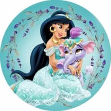 Painel Lona Redondo Festa Infantil Jasmine
