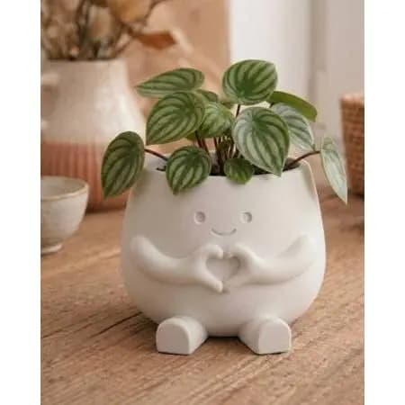 Vaso decorativo para Suculentas | Vaso Plantas Pequenas | Vaso fofo para Plantas