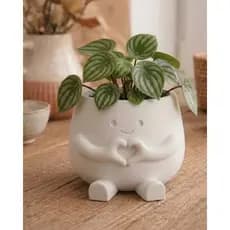 Vaso decorativo para Suculentas | Vaso Plantas Pequenas | Vaso fofo para Plantas